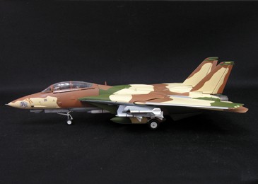 F-14A Tomcat, VF-24, Renegades Camel Smoker