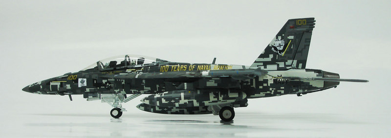 F/A-18F, USN VFA-122 Flying Eagles, NJ100, USN Aviation 100th Anniversary