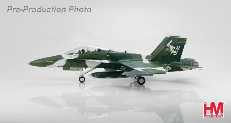 F/A-18B BuNo 162402, VFA-125, Rough Raiders, August 2009